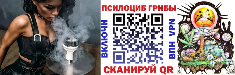 купить наркотики цена  Белёв  ОМГ ОМГ рабочий сайт  Псилоцибиновые грибы GOLDEN TEACHER 