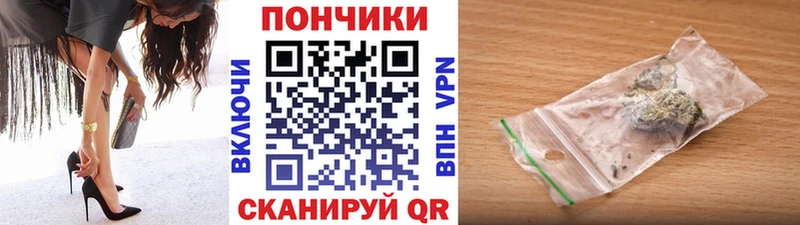 Бошки Шишки планчик Белёв